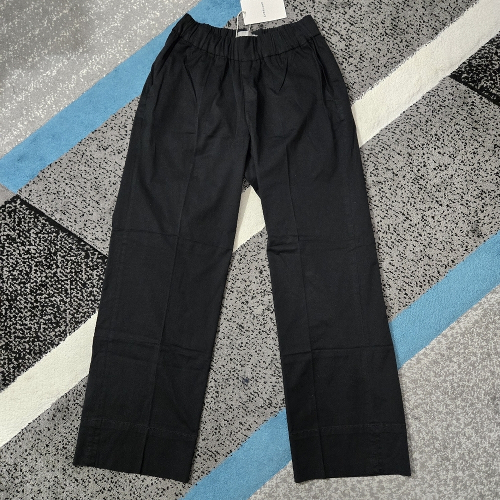 Everlane The Easy Pant, S, NWT - Custom Tailored Rise